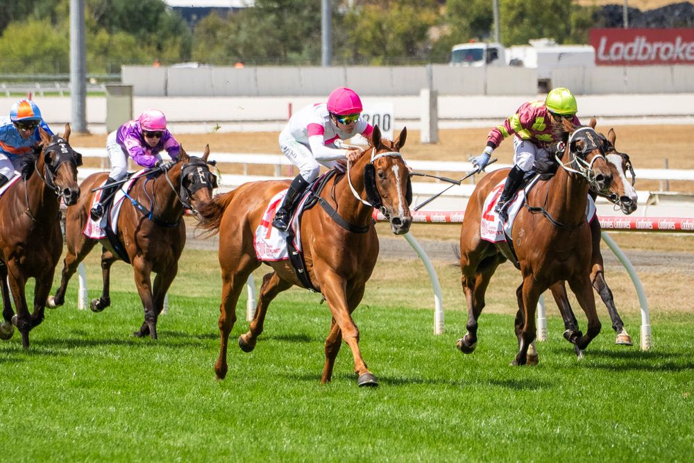 'It’s a lot of chicken burgers to sell to make 10 grand': Clubs Share in $215,000 Ladbrokes Series Bonanza post image