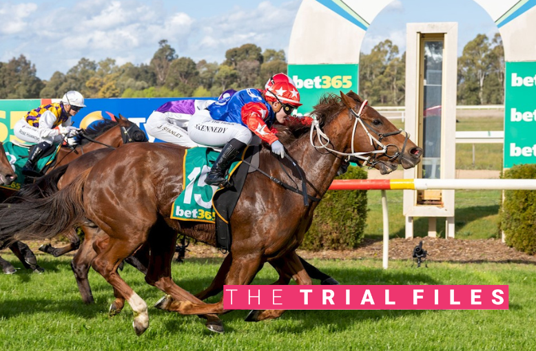 The Trial Files: Ararat, Pakenham Review post image