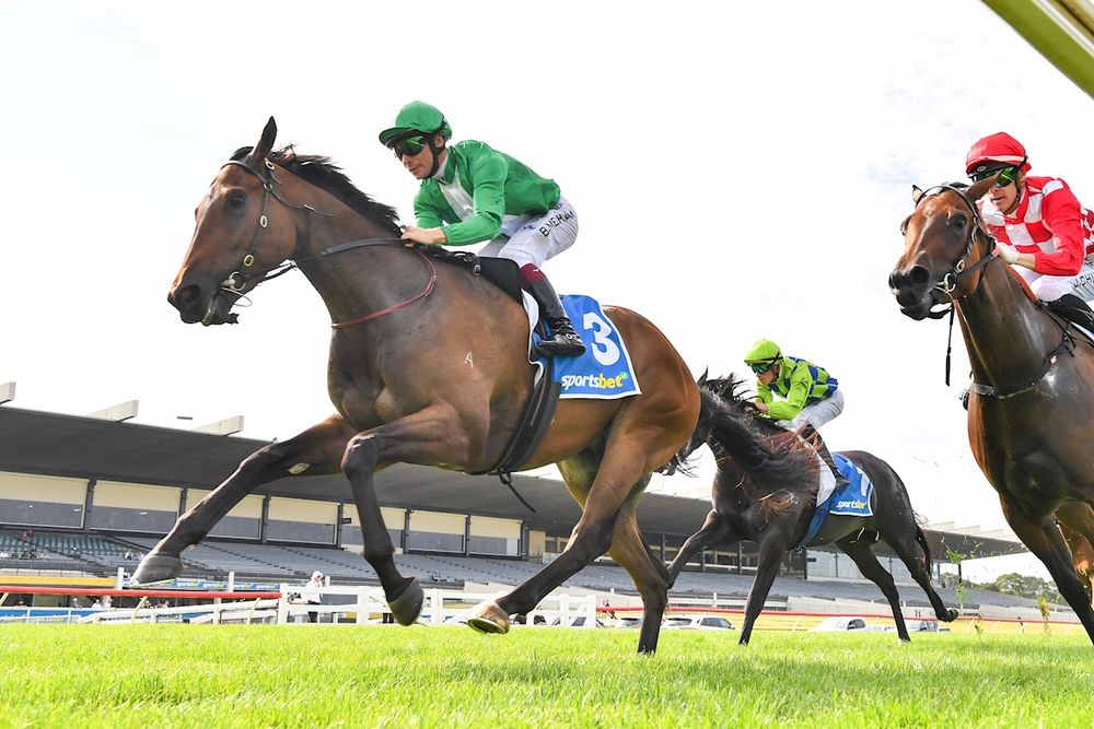 "Only the real good ones can do that" - McDonald debutant impresses post image