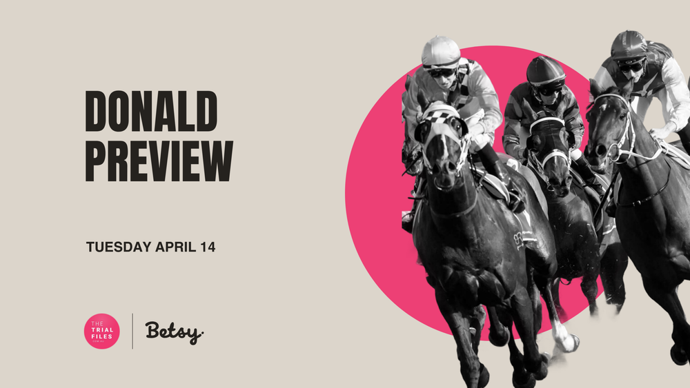 The Trial Files Donald Preview: Debutant ready to rock post image