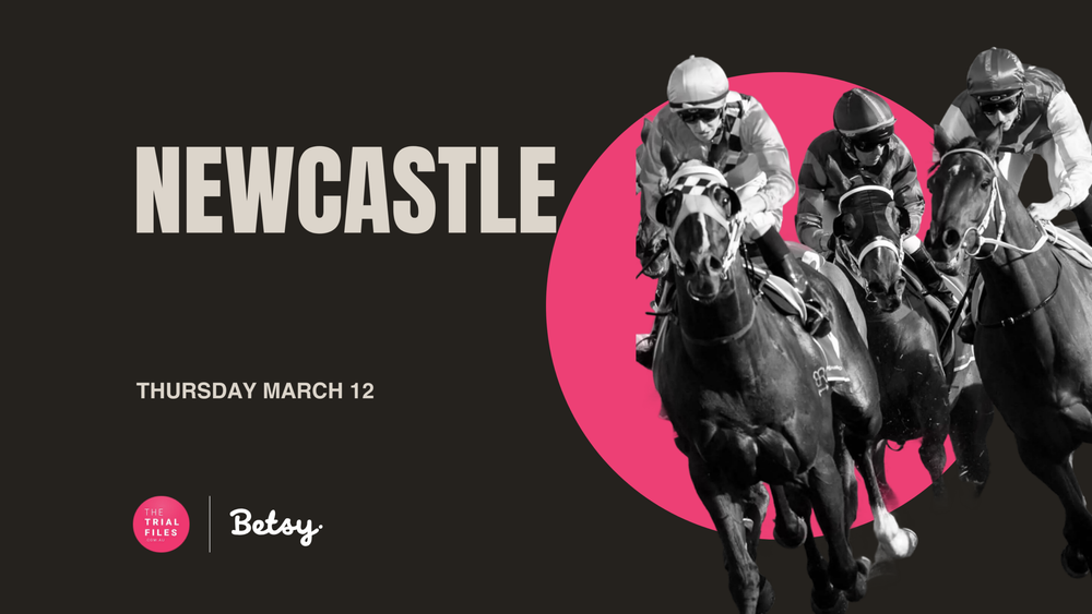 The Trial Files: Key bets at Newcastle today post image