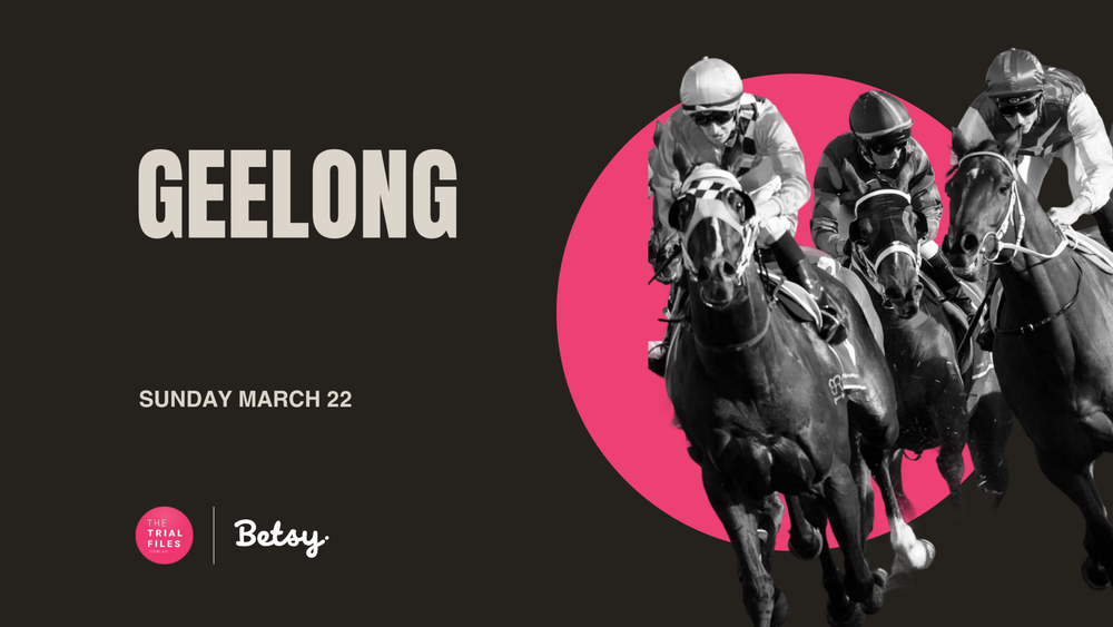 The Trial Files: Maiden gallopers primed for first up wins post image