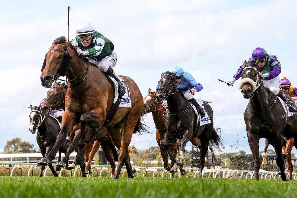 In The Lab: 2025 C.F. Orr Stakes post image