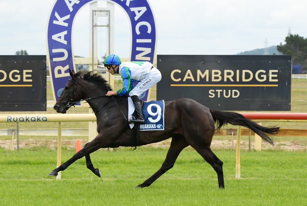 Waimea Bay poised to peak back at Trentham in Wellington Guineas post image
