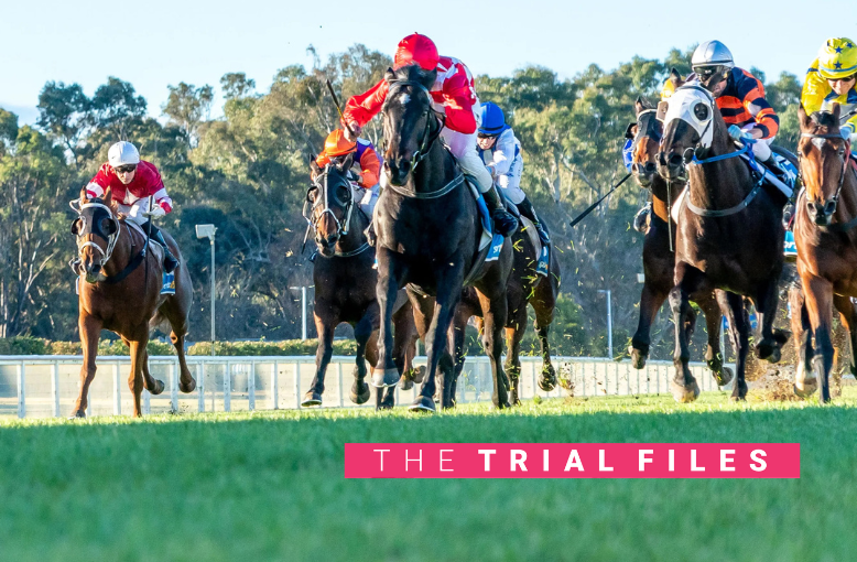 The Trial Files: Geelong Preview post image