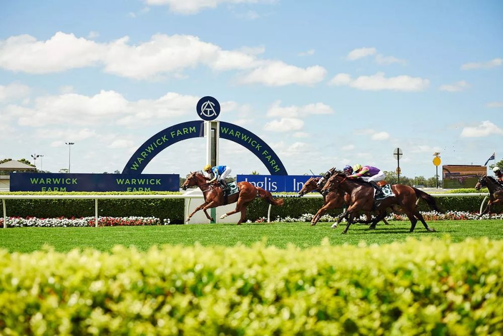 NSW Trial Review: Watling spots NSW runners ready to explode post image