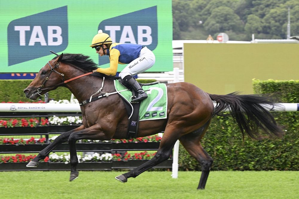'My vet and I were happy with him': Warwoven scratched from Millions post image