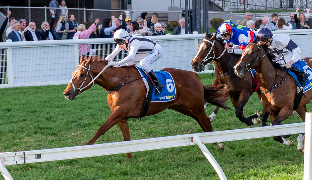 Irwin Stakes 2026 Runner-by-Runner Preview: Sprint stars clash at Morphettville post image