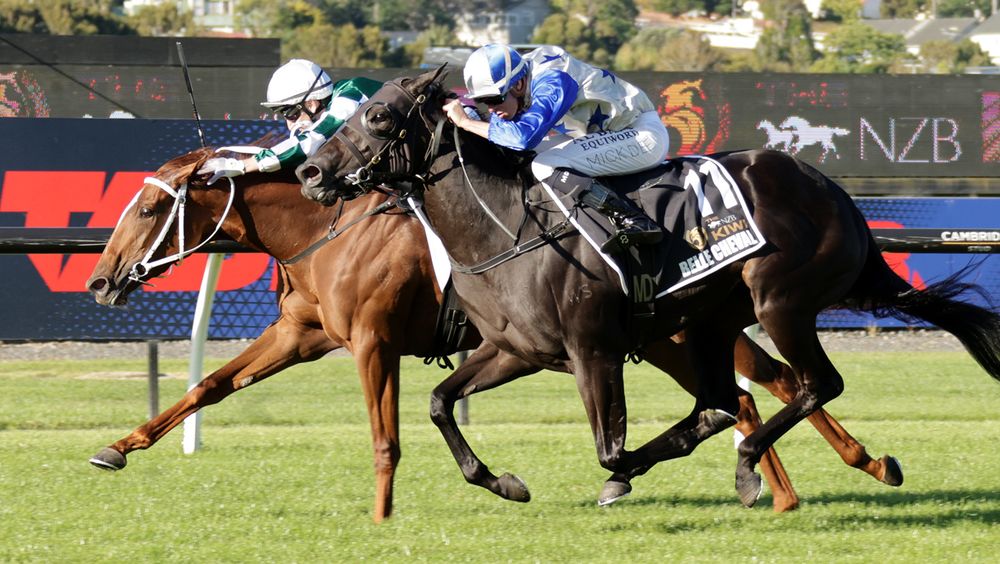 Well Written wins Kiwi in dramatic Ellerslie finish post image