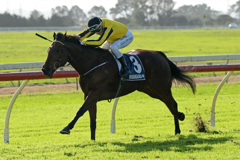 NZ Trial Watcher's Blackbook: Jot down these coming winners post image