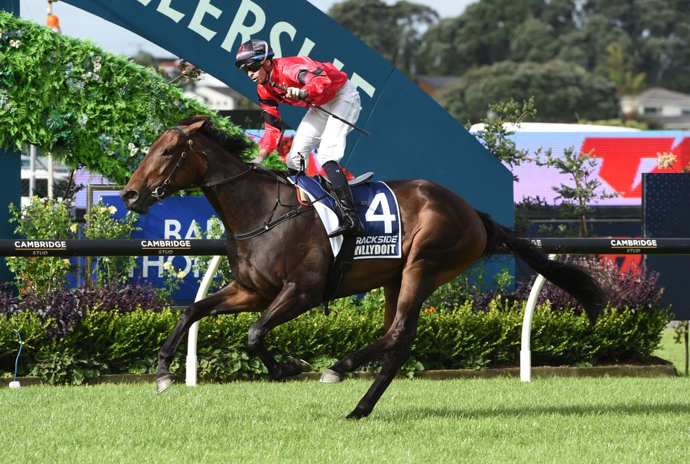 Ellerslie Trials: Smart juveniles shine with multiple two-year-olds ready to fire post image