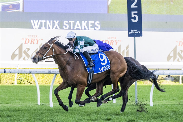 Mad Monday: Winx Stakes Day in review post image