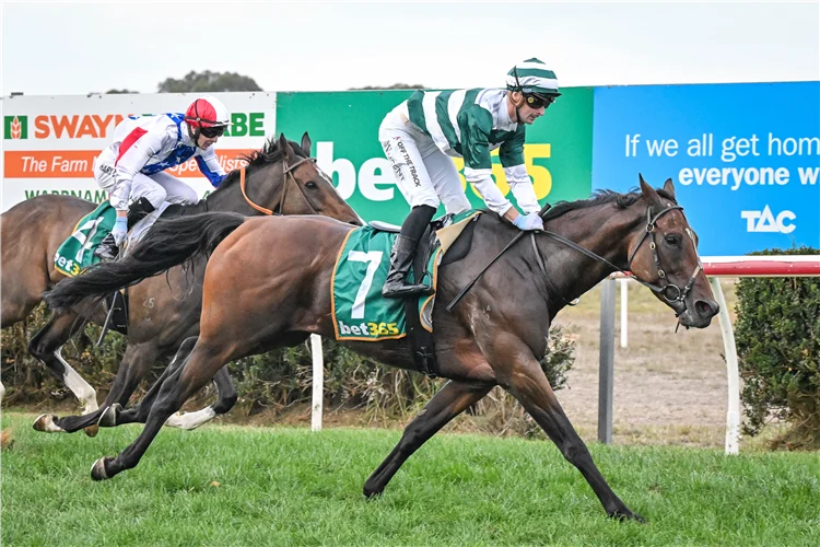 Tassie Treble? Maher unleashes Dad and Dave plus a UK stayer in Cups raid post image