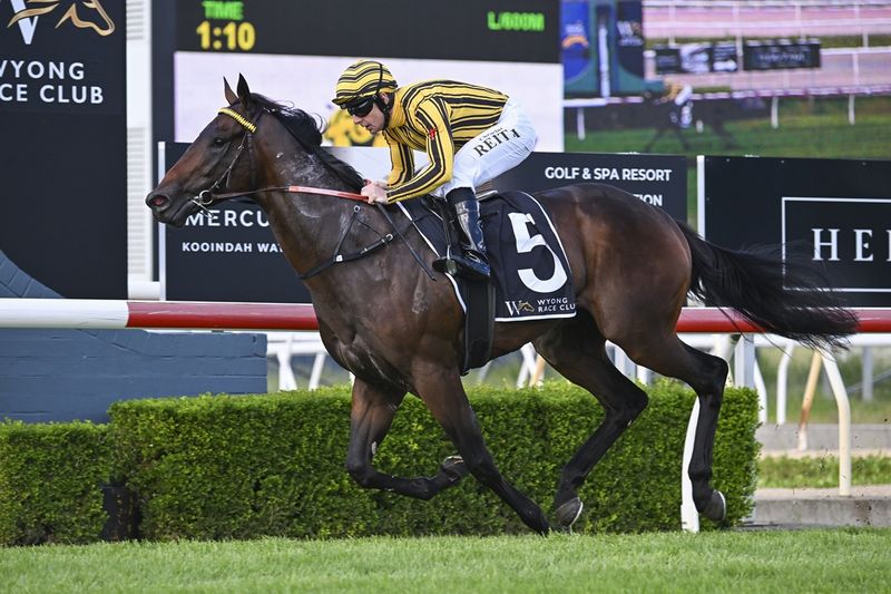 Big Price, big promise: Tenenbaum set for Hawkesbury test post image