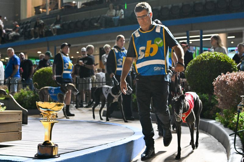 Australian Cup Night Preview: Jason Adams’ best bets for Group 1 showpiece at The Meadows post image