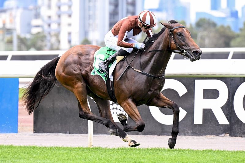 Slipper Twist for Hayes after Flemington win post image