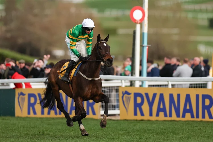 Cheltenham Festival Day 3 Tips: Value plays and big odds are on the menu post image