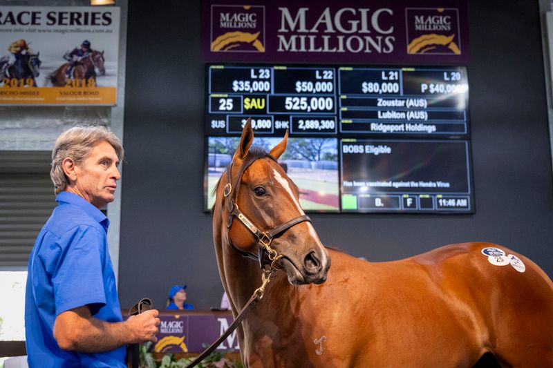 Sale-topper strikes again: Sheamus Mills pays $525k for Blue Diamond-linked filly post image