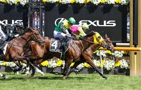 Melbourne Cup 2024 Replay post image