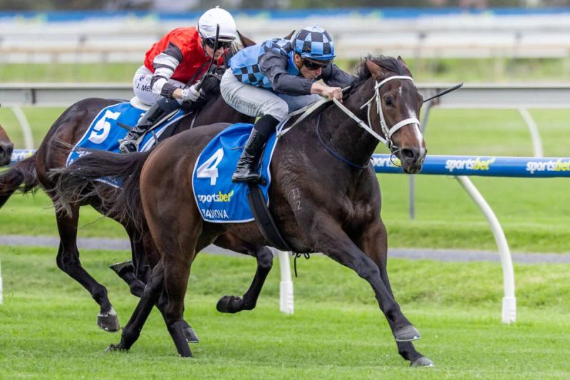 Derby and Goodwood clues emerge from stacked Sangster Day at Morphettville post image