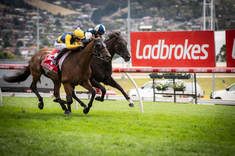 Hobart Tips: Steve Christie finds value across Apprentice Series Card post image