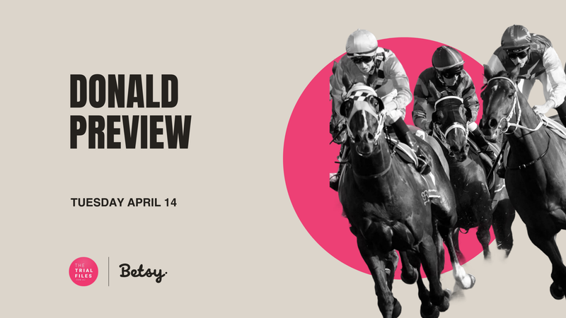 The Trial Files Donald Preview: Debutant ready to rock post image
