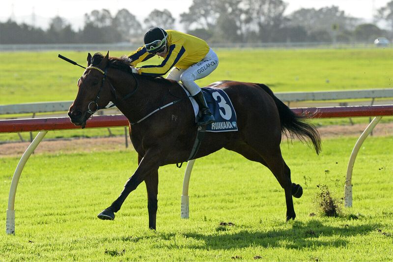 NZ Trial Watcher's Blackbook: Jot down these coming winners post image