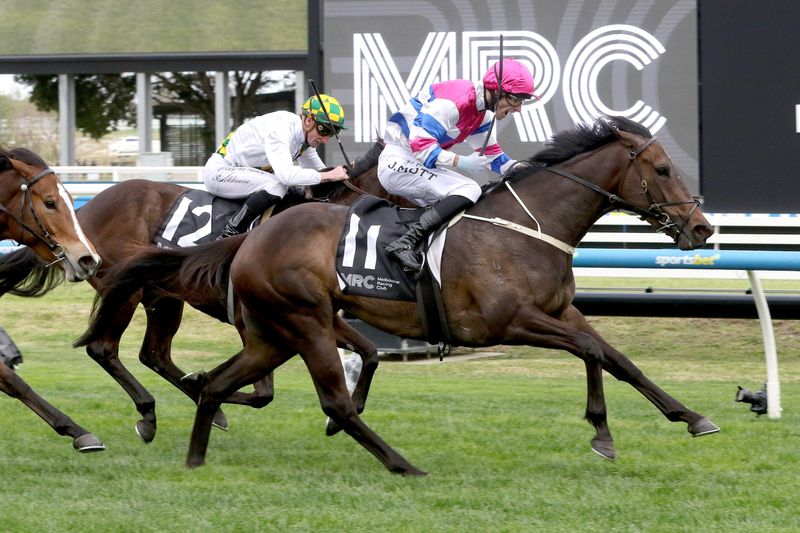 Yum: McArdle's tasty Tassie purchase post image