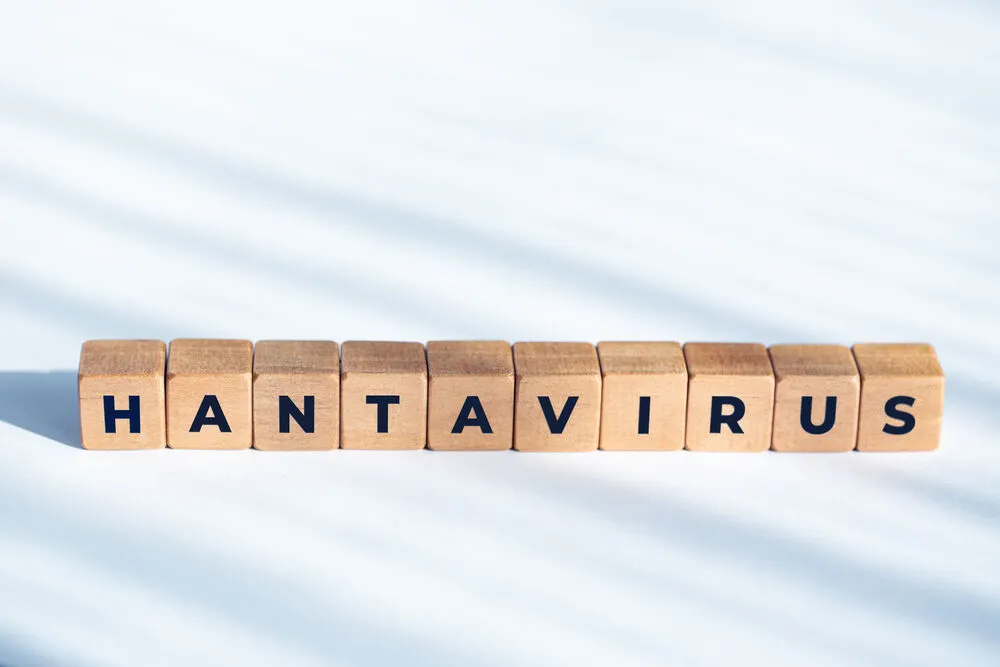 Avusturya’da hantavirüs uyarısı: Bildirim yükümlülüğü genişletildi