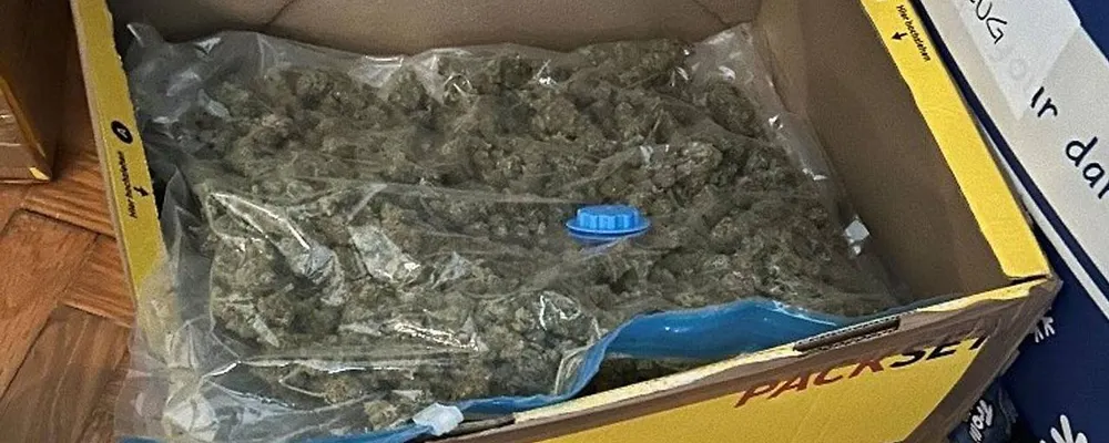 Viyana'da 'paket servisi' adı altında 'uyuşturucu ticareti'