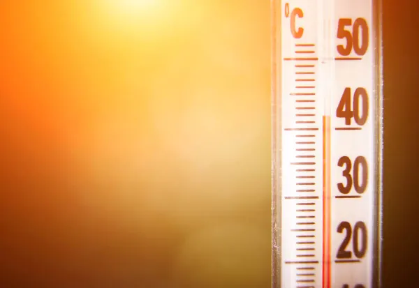 Viyana'da sıcaklık rekoru: 40,1 derece ölçüldü