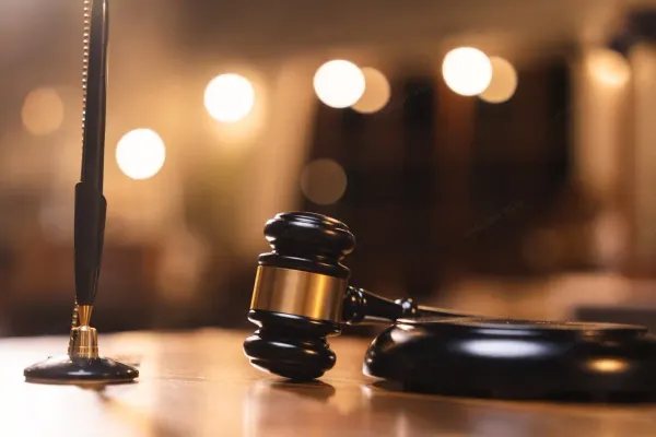 Viyana'da bir evsizi döverek öldüren zanlıya 9 yıl hapis