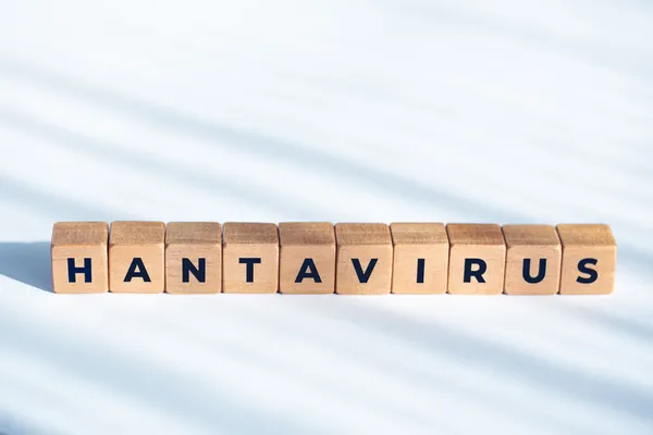 Avusturya’da hantavirüs uyarısı: Bildirim yükümlülüğü genişletildi