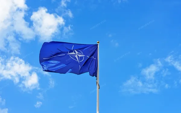 Avusturya, NATO'ya Yakınlaşmak İstiyor: Muhalefet Tepkili