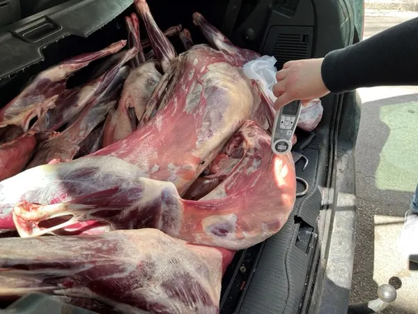 Viyana’da 150 kilo kaçak kuzu eti ele geçirildi