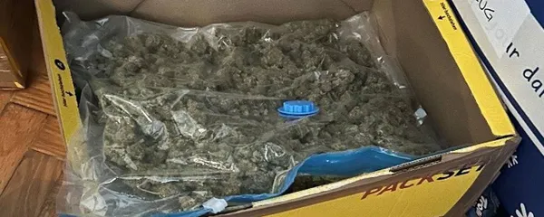 Viyana'da 'paket servisi' adı altında 'uyuşturucu ticareti'