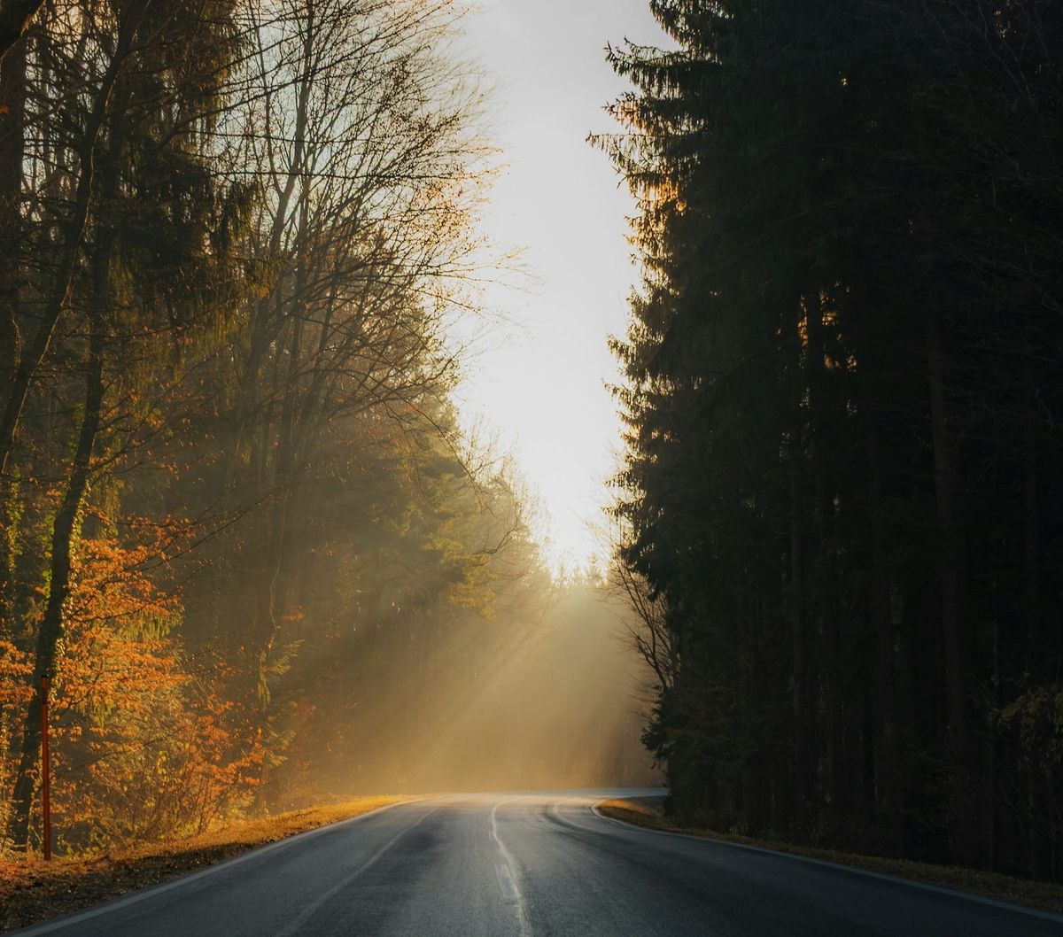 The Promotion Nobody Should Be Surprised By