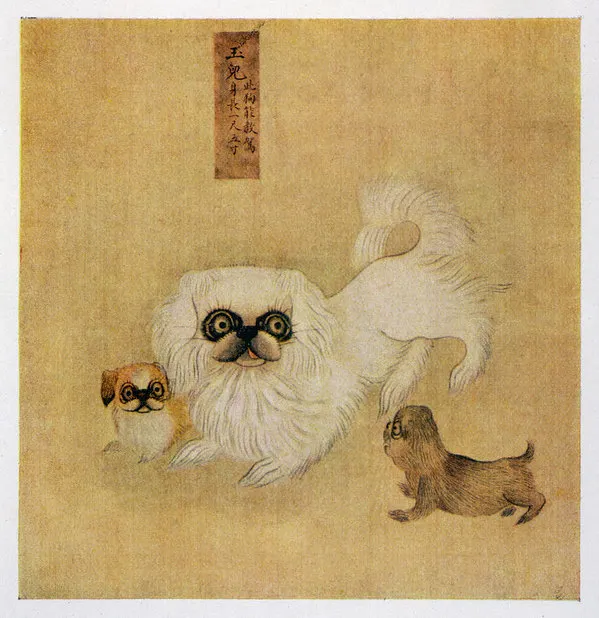 Stolen from Chinese palaces by eunuchs and smuggled to England by ship: How the Pekingese dog found its way to Oxton