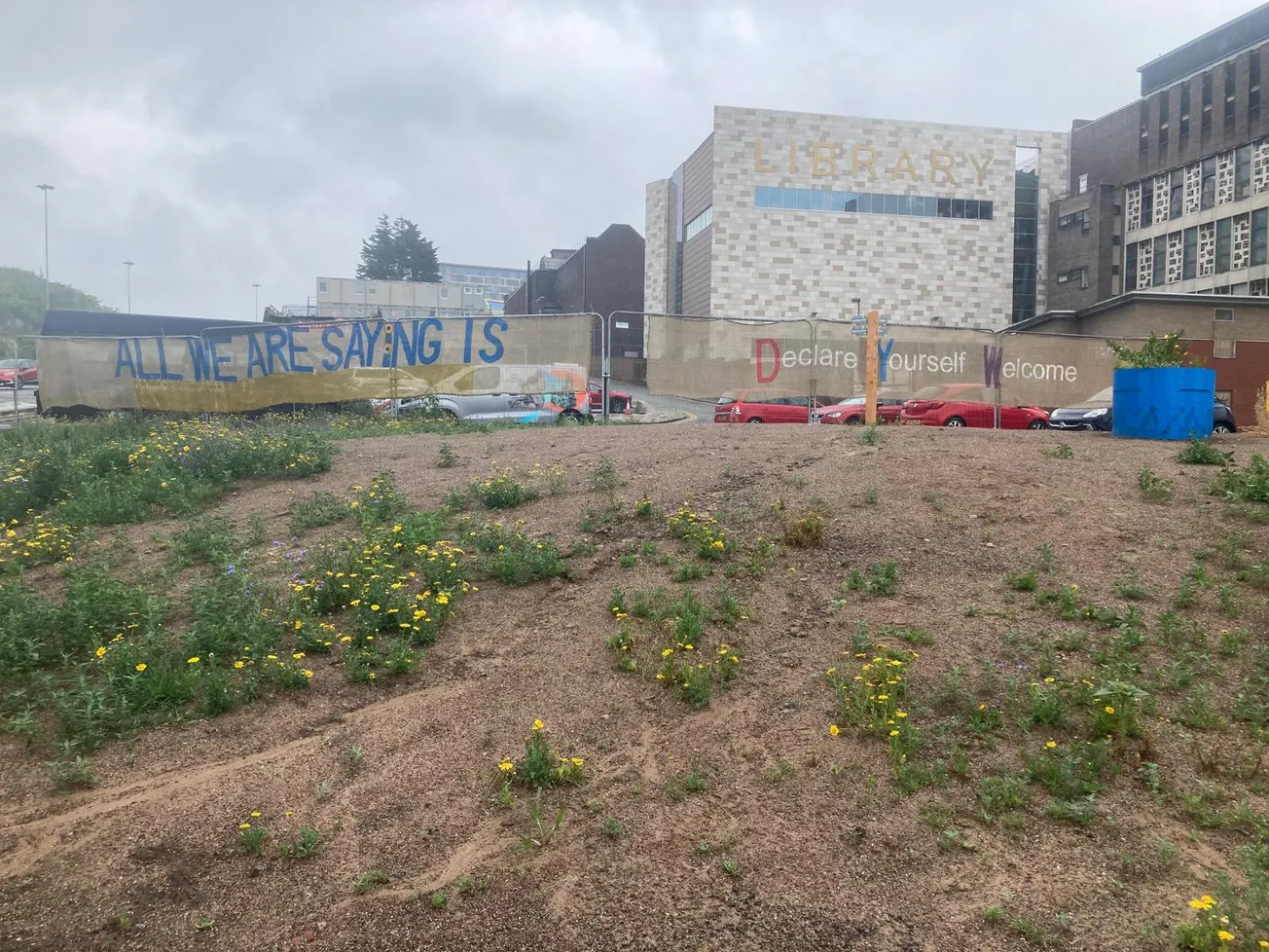 A garden of weeds and a road to nowhere