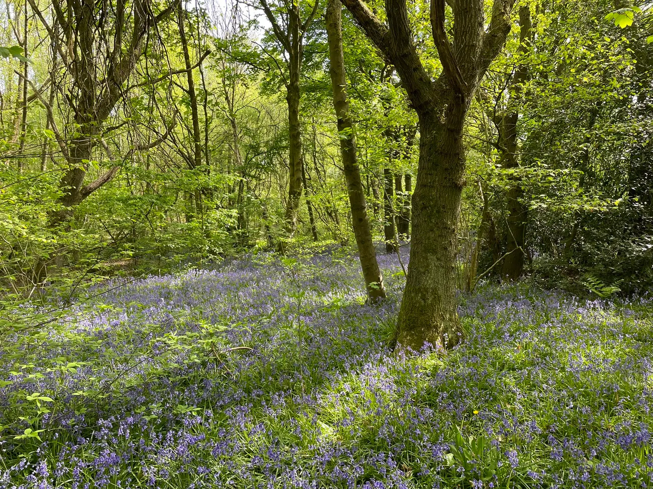 'This makes the Caller Report look like the Beano'