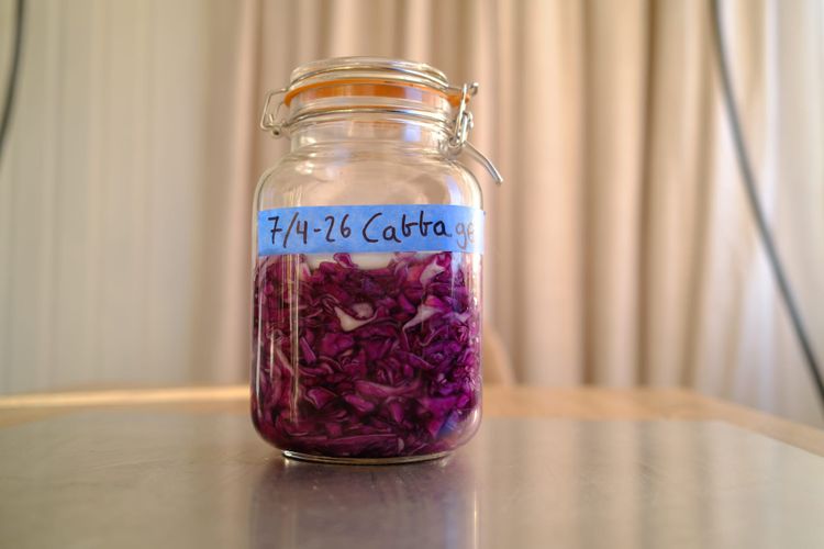 Fermented Red Cabbage