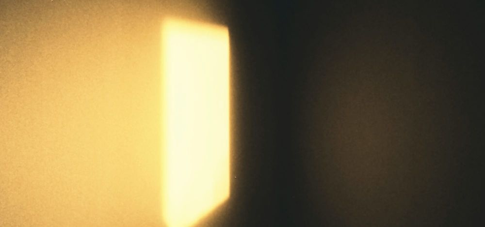 Species Report: The Order of Light