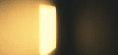 Species Report: The Order of Light
