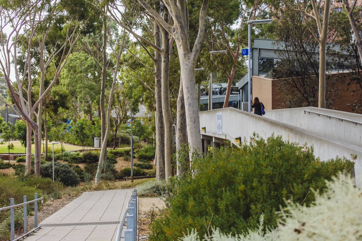 Tree-laden urban environment shot at Monash University