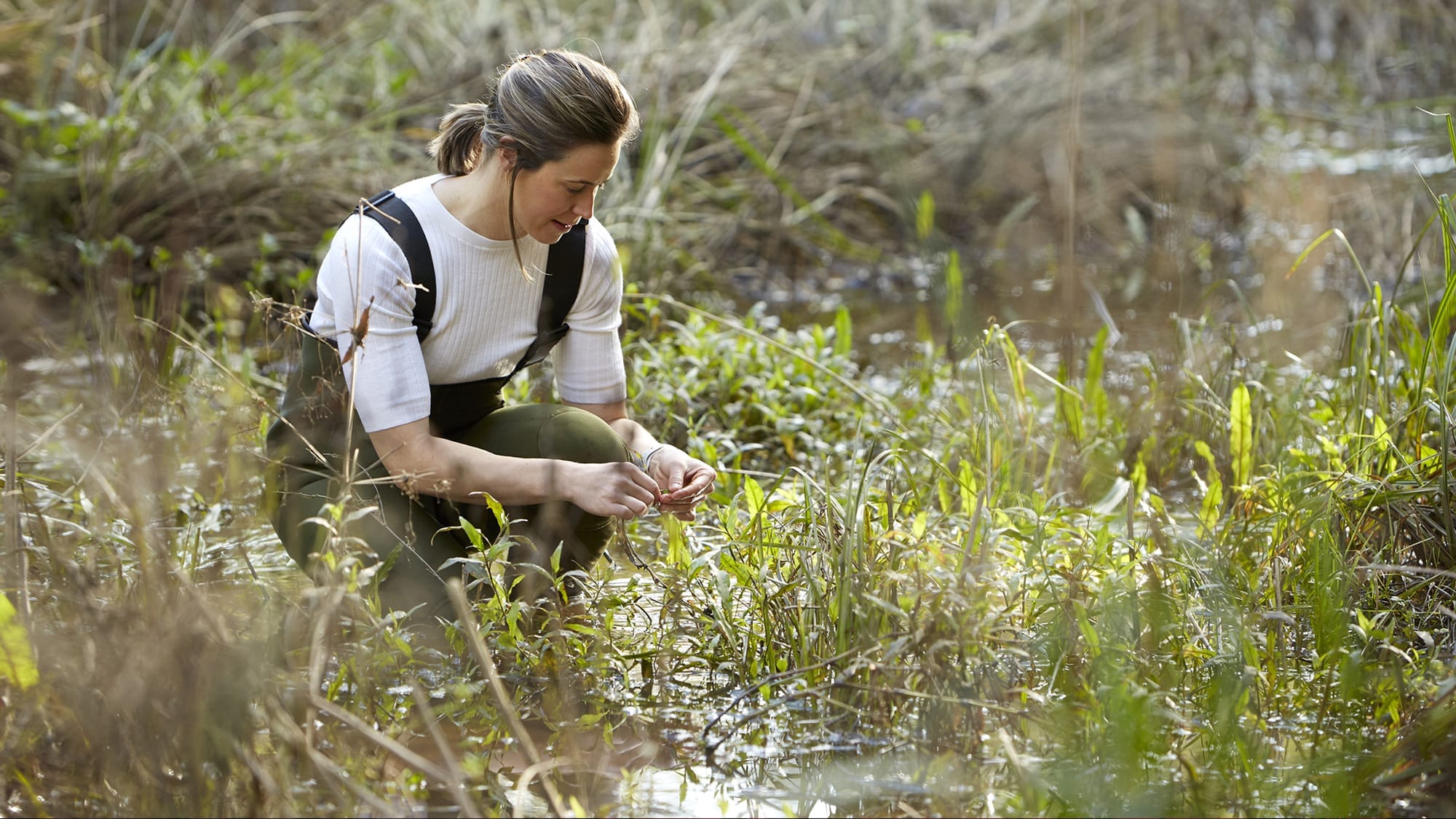 Protecting our waterways from drugs and microplastics