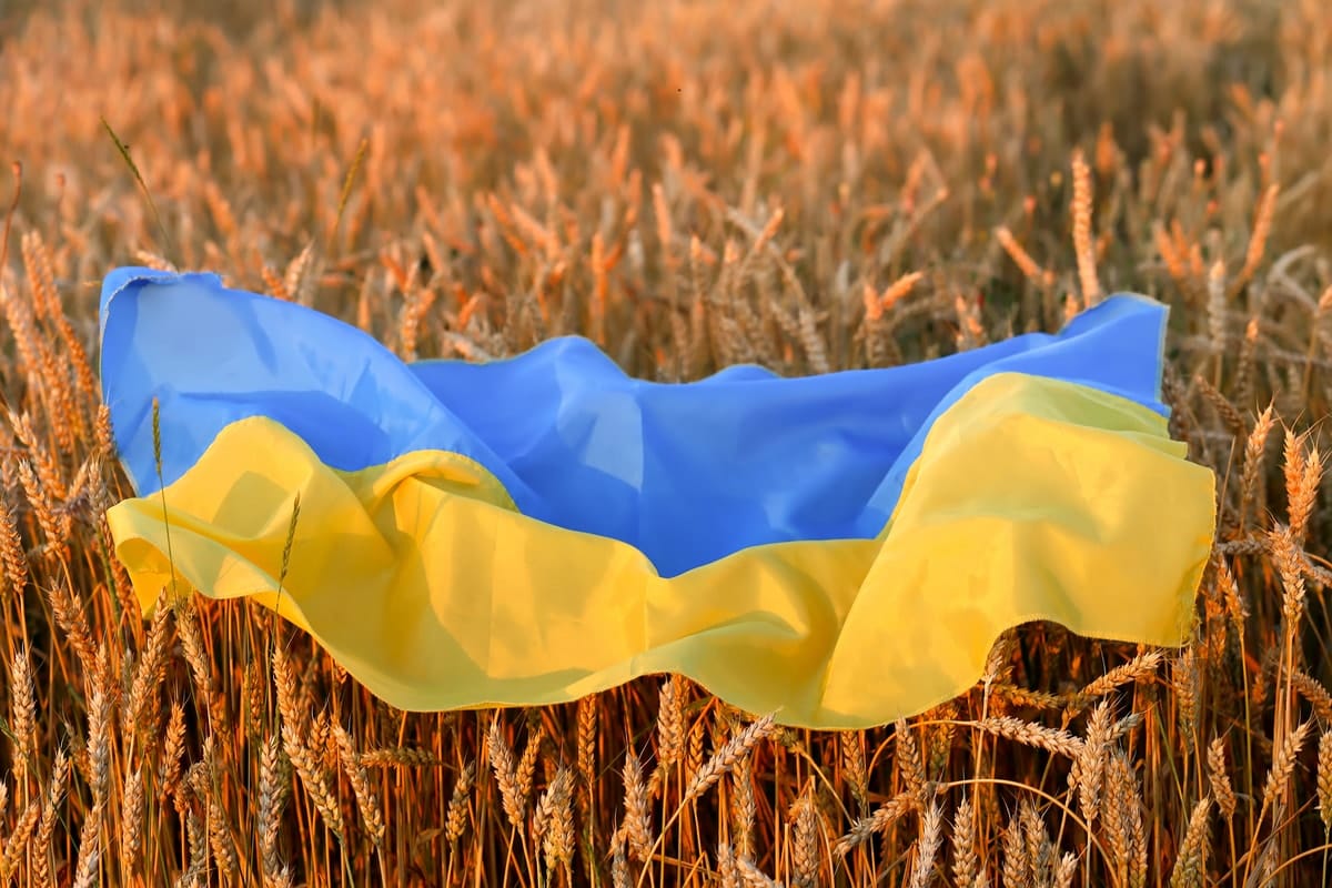 Breadbasket case: The impact of Russia’s invasion of Ukraine on global supply chains