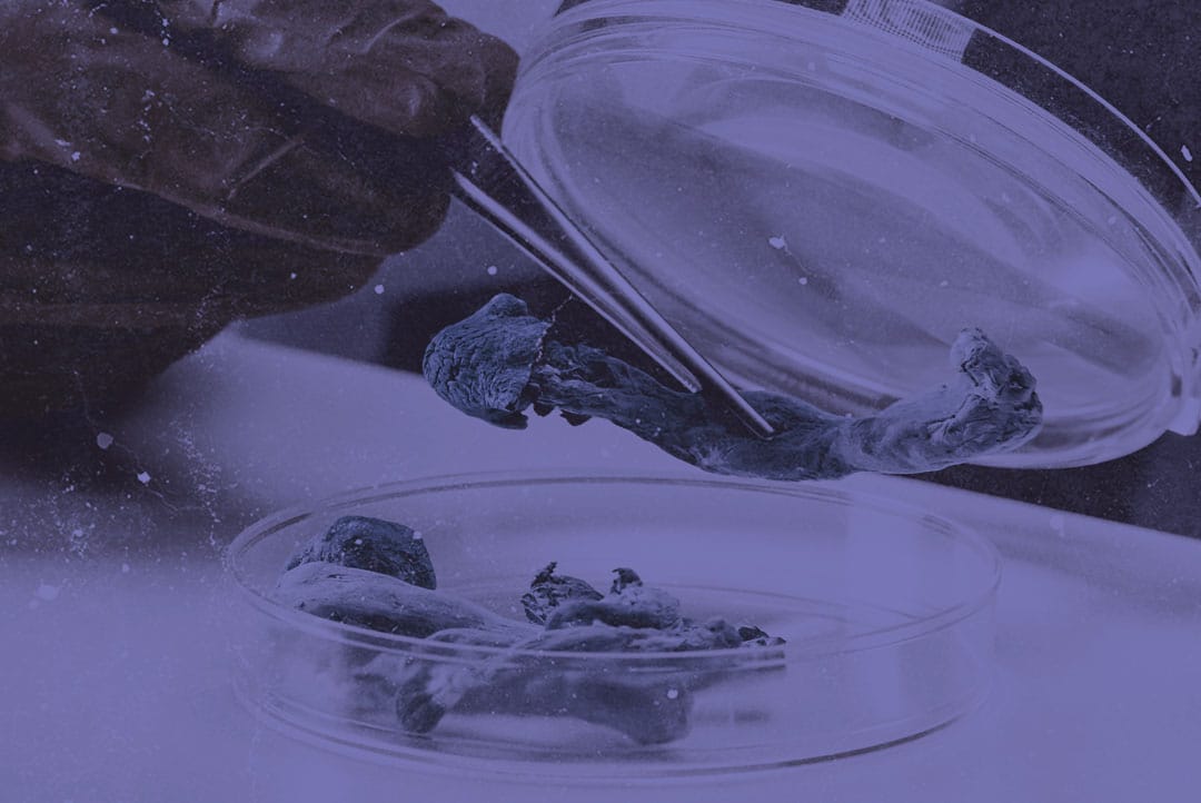 ‘What Happens Next?’: Should We Decriminalise Psychedelics?