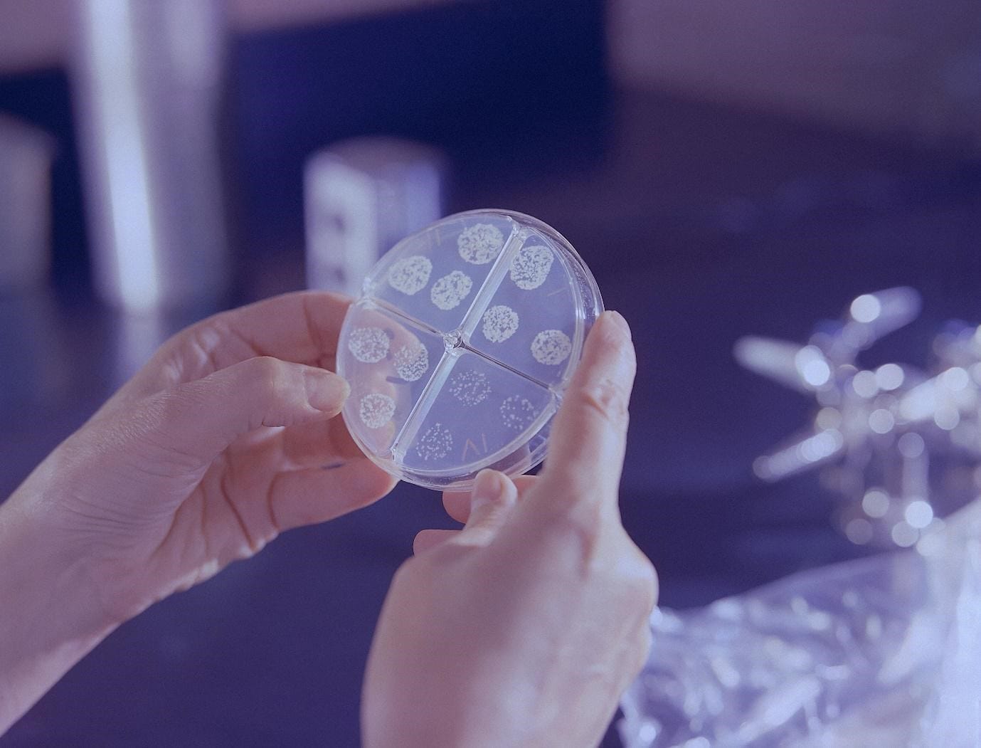 Could food be shaping our gut? The link between diet and the gut microbiome