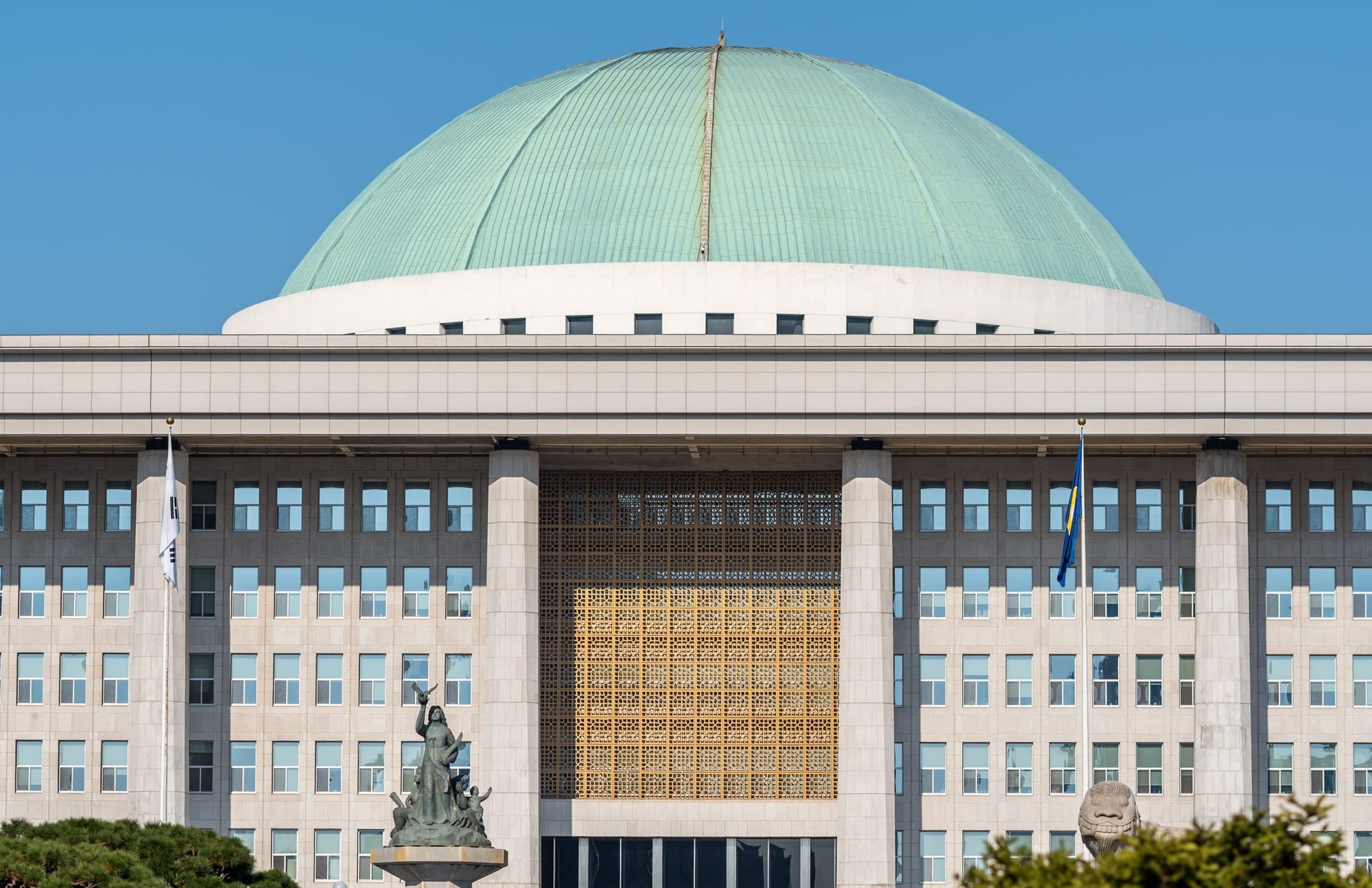 Martial law outrage: Can South Koreans protect their democracy?