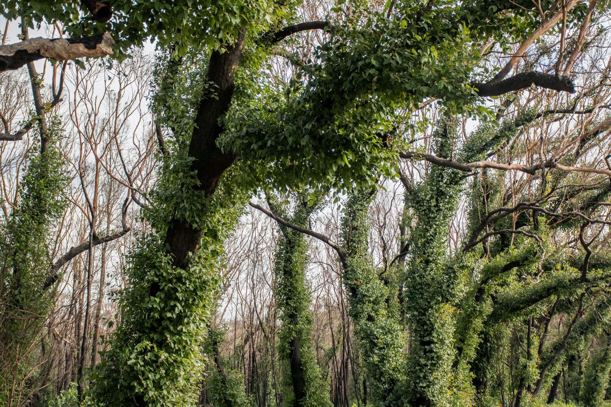 Disaster survivors feel more prepared for the next one, but are often left out of planning